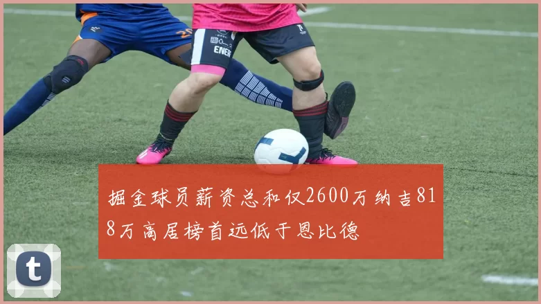 掘金球员薪资总和仅2600万纳吉818万高居榜首远低于恩比德