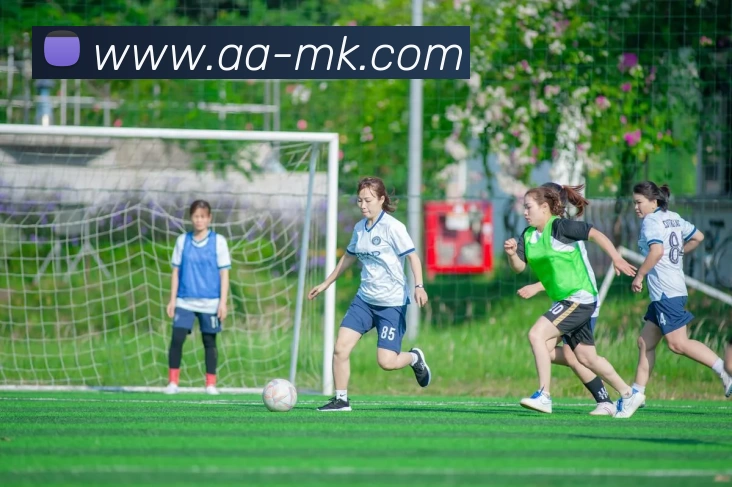 App Interface Preview