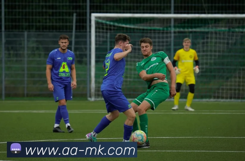 MK体育APP 封面图